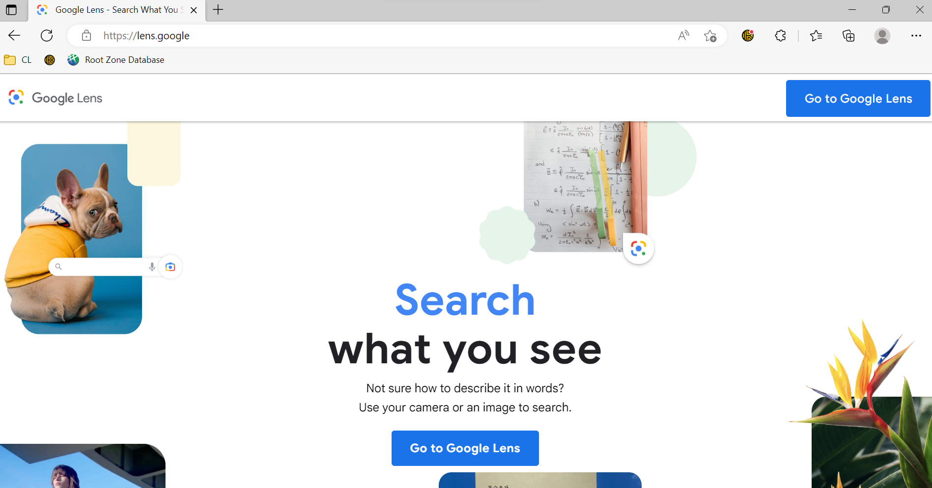 image of lens.google website